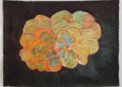 Cluster Series 1, Pastel Chalk and Acrylic on Canvas, 40 x 54 inches, 2005