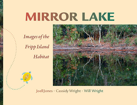 mirror lake book image